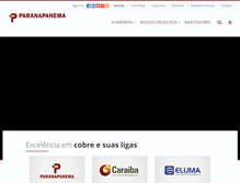 Tablet Screenshot of paranapanema.com.br